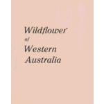 Wildflower of Western Australia