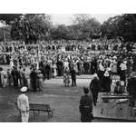 011637D: Garden party, Government House, 1954