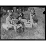 046982PD: Girls eat toffee apples and inspect their show bags, 1949