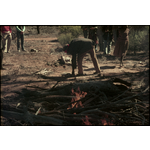 134259PD: Tjurpula Jamieson killing, butchering and cooking a kangaroo in a campfire near Cundeelee, 1977