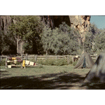 Windjana Gorge, W.A. 1968