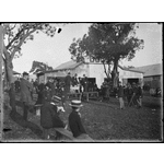 153656PD: West Australian Dog and Poultry Society dog show at Claremont, 1914