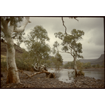 146070PD: Wittenoom Gorge, 1961