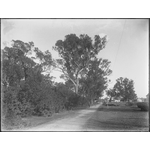 013826PD: Mandurah, 1913
