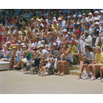 385296PD: A crowd watches the show at Atlantis Marine Park, Two Rocks, 17 December 1987