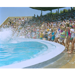 385297PD: A crowd gets close to the dolphin show at Atlantis Marine Park, Two Rocks, 17 December 1987