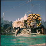 390040PD: Atlantis Marine Park dolphin show, 19 May 1986