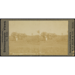 3542B/252: An Afghan cameleer leads a camel train somewhere in the Western Australian Eastern Goldfields, 1901?