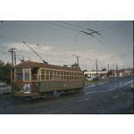 136076PD: Tram No. 127 on Beaufort Street, Inglewood, 1958