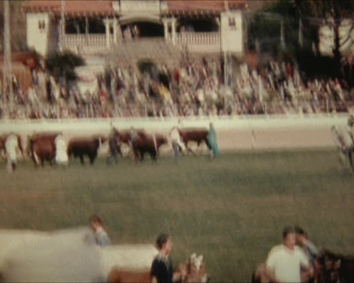 Michael Stroud personal film - State Library of Western Australia