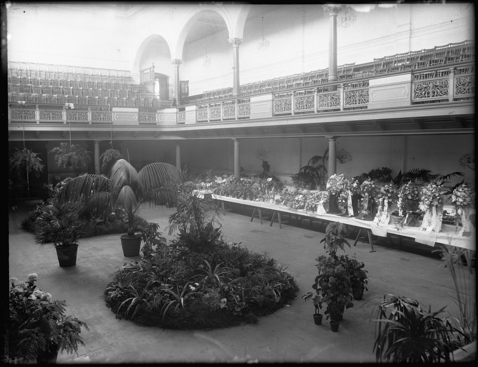 horticultural-society-show-queen-s-hall-123-william-street-perth