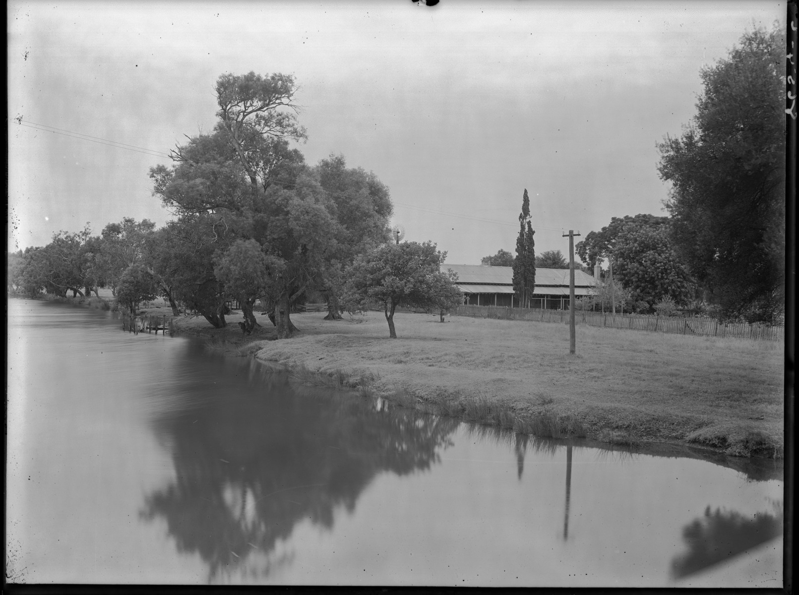 South West Dairy Farms 24 March 1934 JPG 396 5 KB south-west-dairy-farms-24-march-1934-jpg-396-5-kb