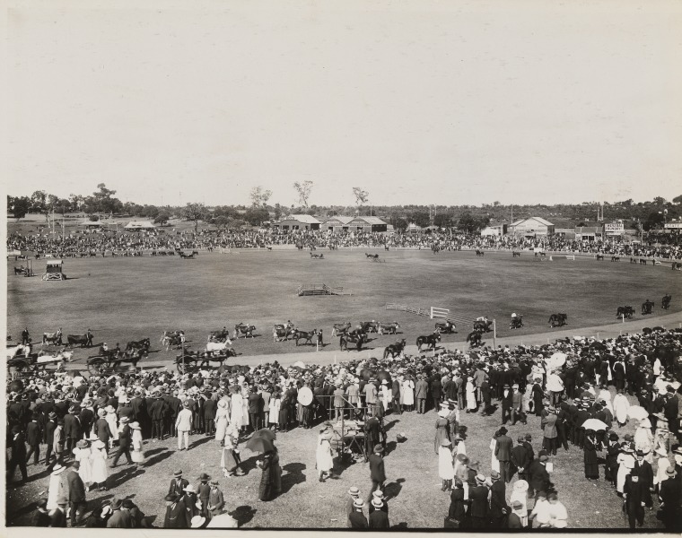 Royal Agricultural Show 1913. - JPG 144.3 KB