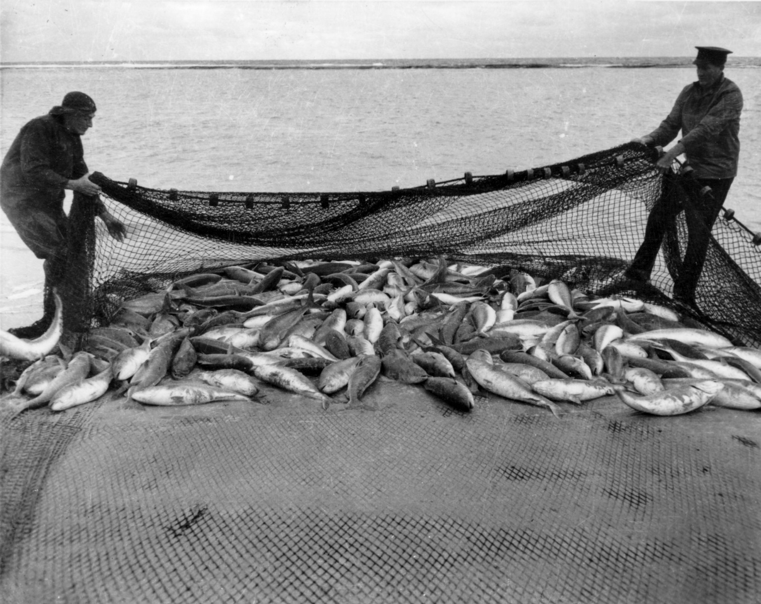 salmon-fishing-at-hopetoun-picture-state-library-of-western-australia