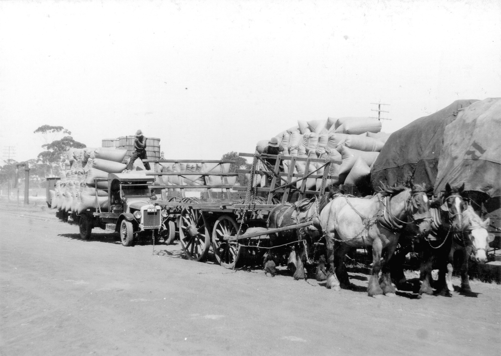 Loading chaff, Meckering Railway Station, Dec. 1932 [picture] - JPG 379 ...