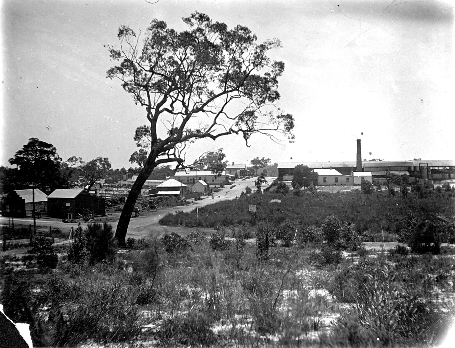 Falkirk Ave, Maylands [picture] State Library of Western Australia