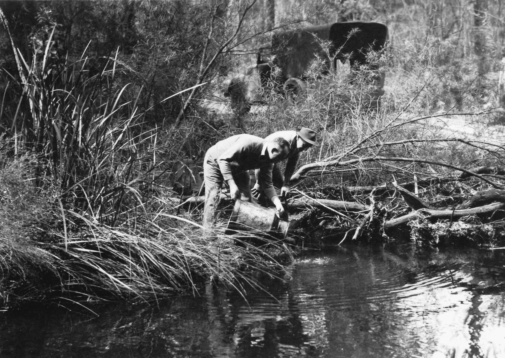 Pemberton Trout Hatchery [picture] State Library of Western Australia