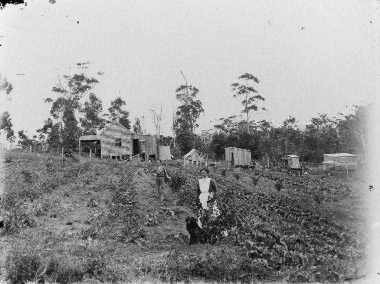 Group settlers in a vegetable garden, with house and outbuildings ...