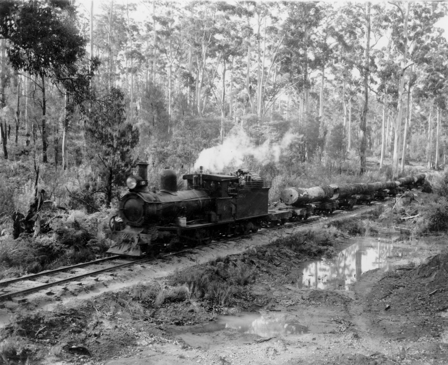 Pemberton log train [picture] JPG 548.3 KB
