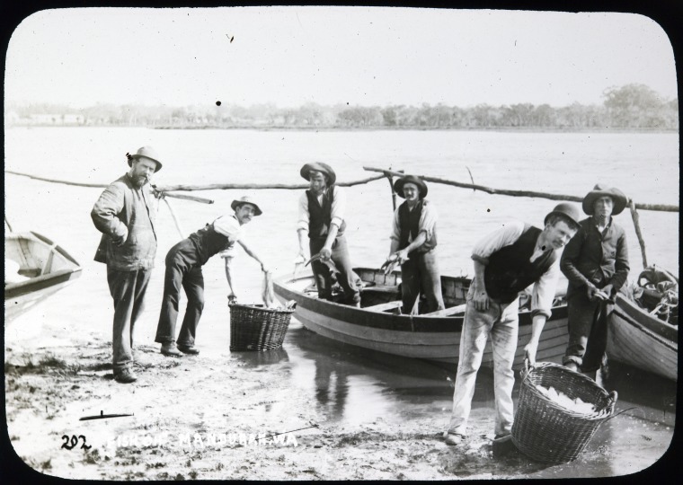 Fish off Mandurah, W.A. - State Library of Western Australia