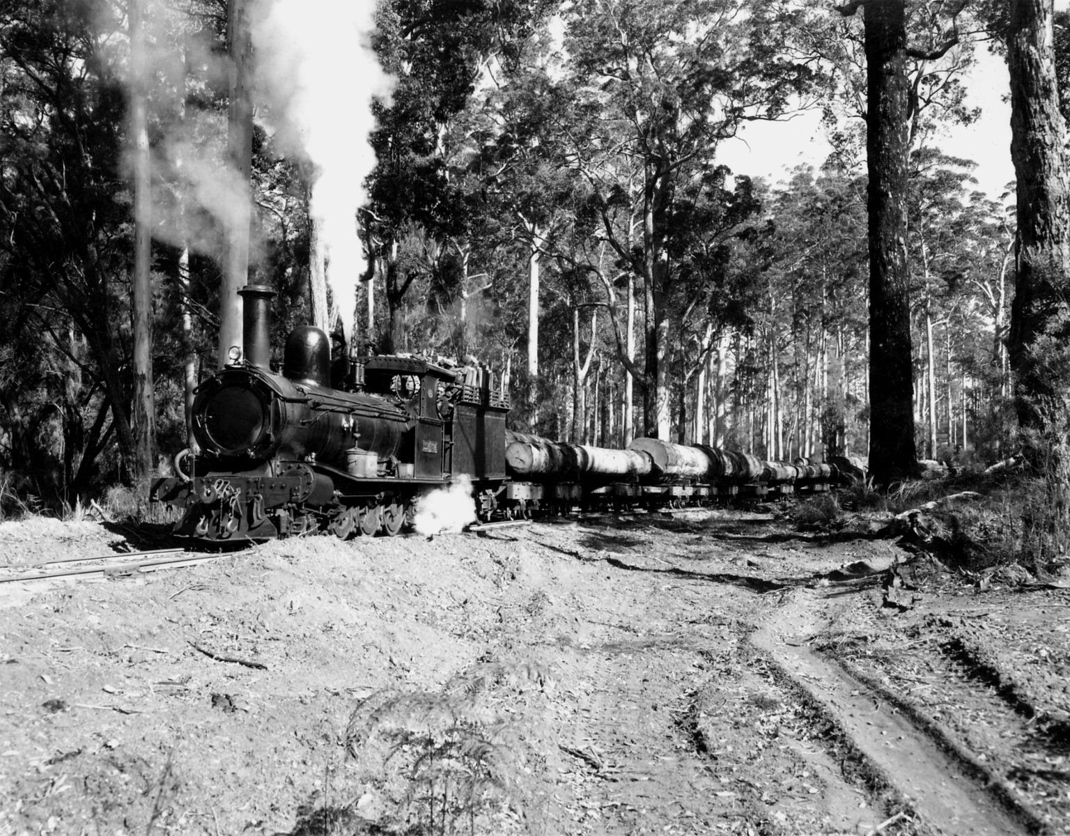 Hauling logs, Pemberton [picture] - JPG 676.0 KB