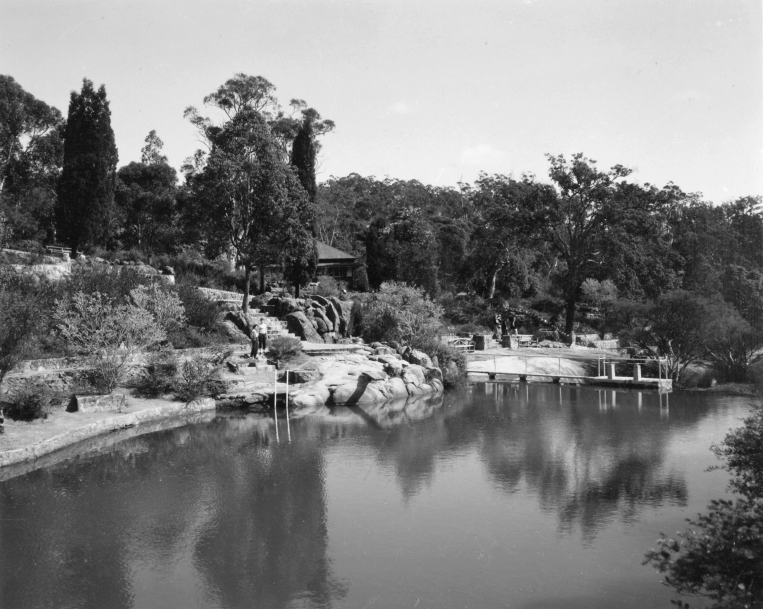 John Forrest National Park [picture] State Library of Western Australia