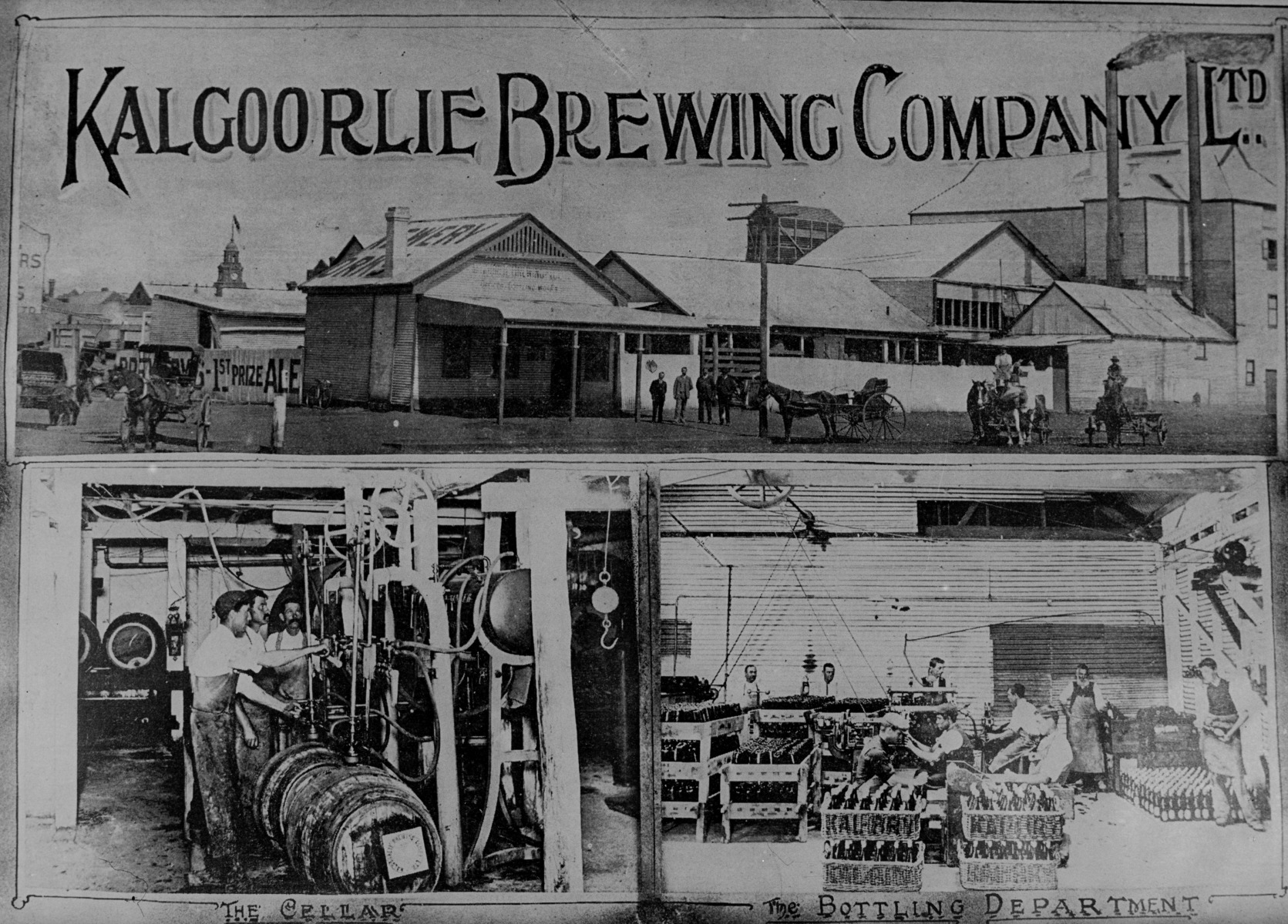 Kalgoorlie Brewing Company State Library of Western Australia