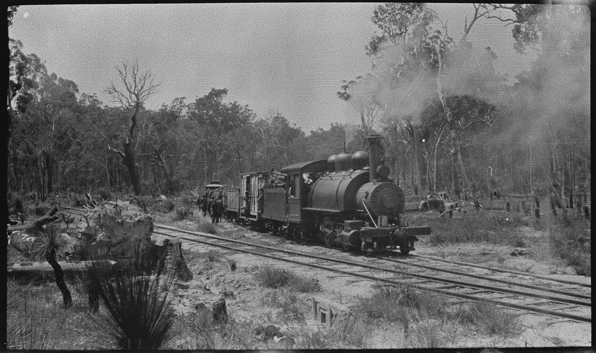 'Jarrah', Millars timber railway, Wellington Mills JPG 954