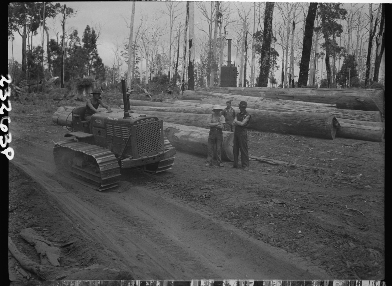 South West logging operation - JPG 477.0 KB