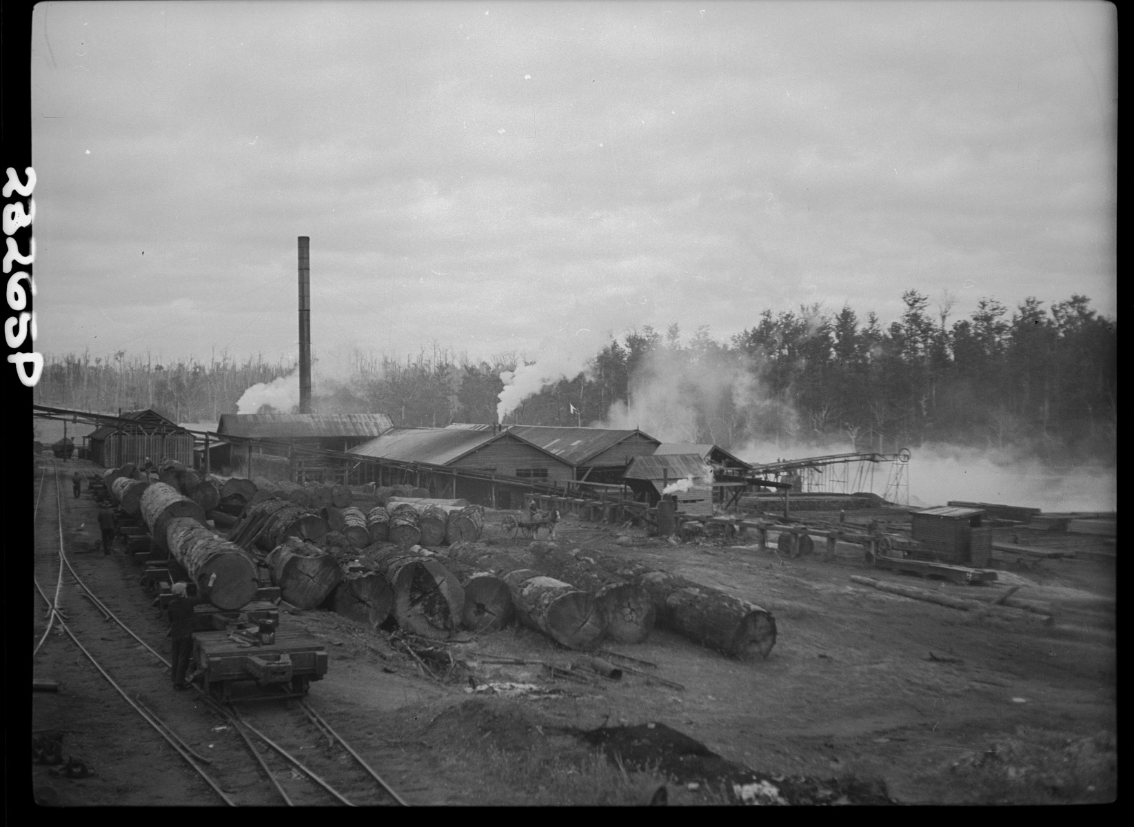 South West logging operation - JPG 368.3 KB