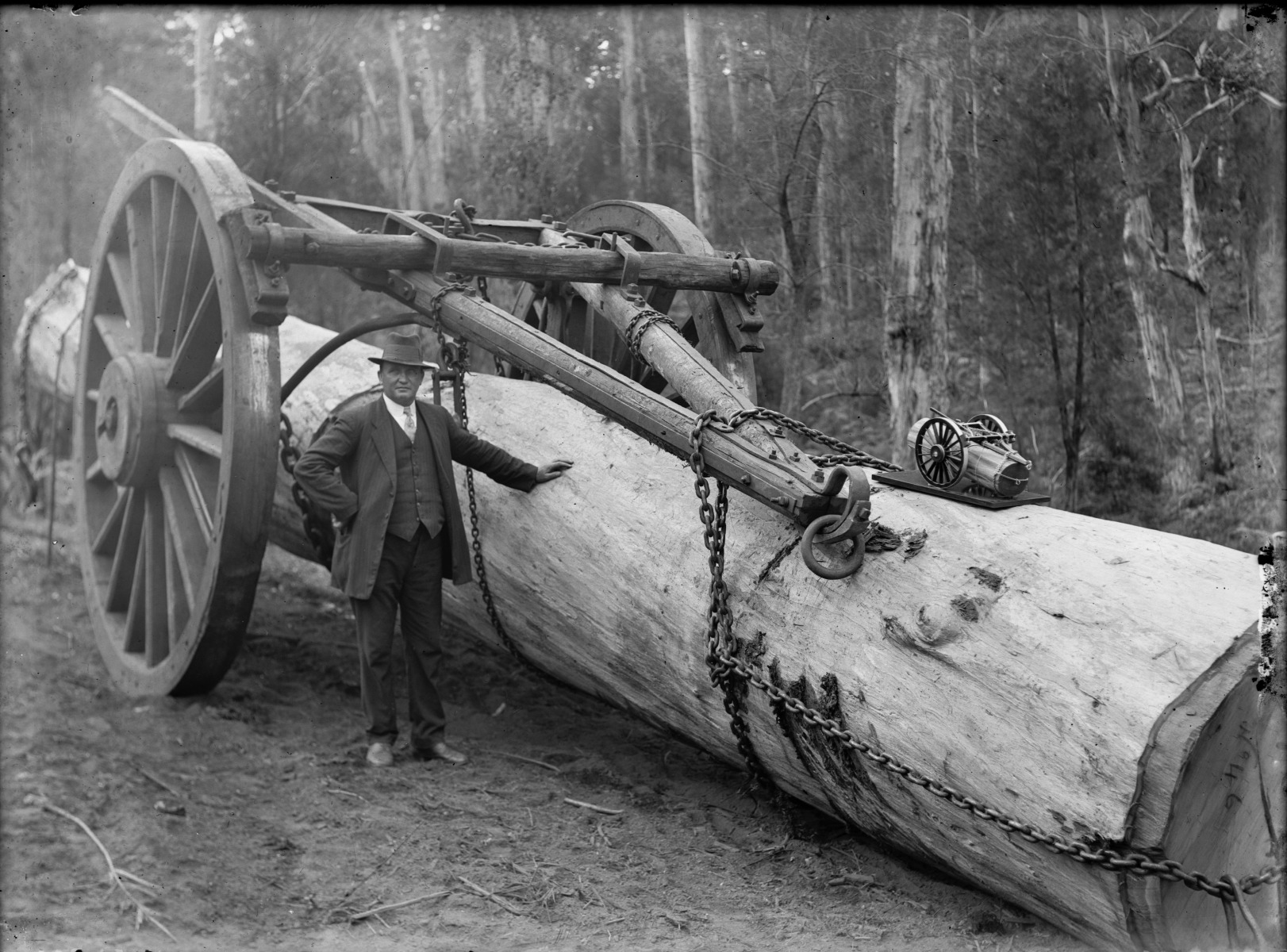 Timber man and associates JPG 488.7 KB