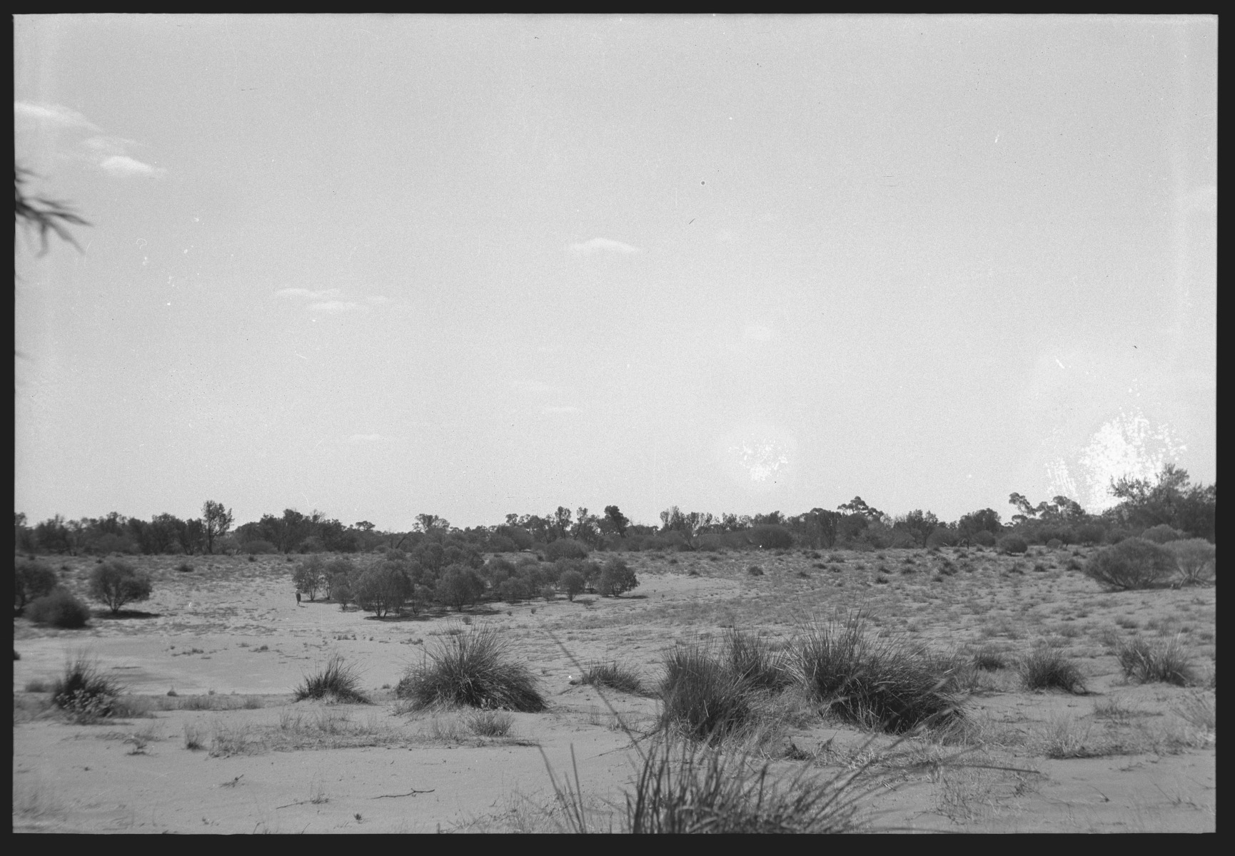 Newcomers to Cundeelee, Wongatha people out of the bush - JPG 481.4 KB