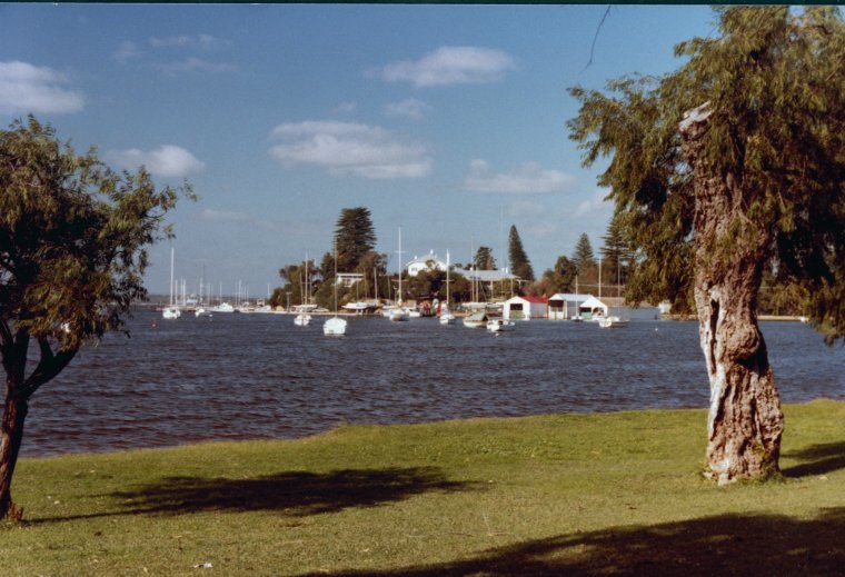 royal freshwater bay yacht club