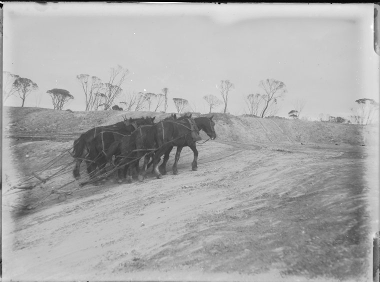 Dam sinking at Mr Liebe's farm, Wubin - State Library of Western Australia