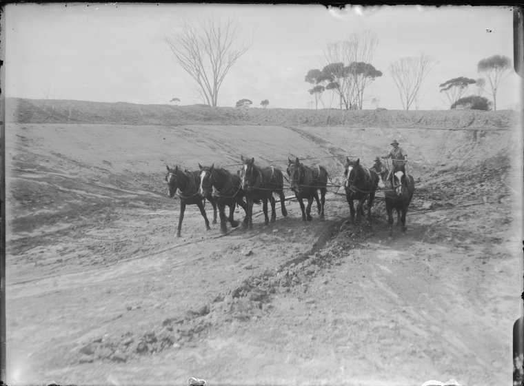 Dam sinking at Mr Liebe's farm, Wubin - State Library of Western Australia