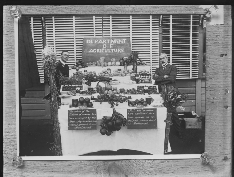Potato growing State Library of Western Australia