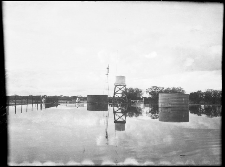 Marloo Station collection of negatives, Part 3 - JPG 65.5 KB