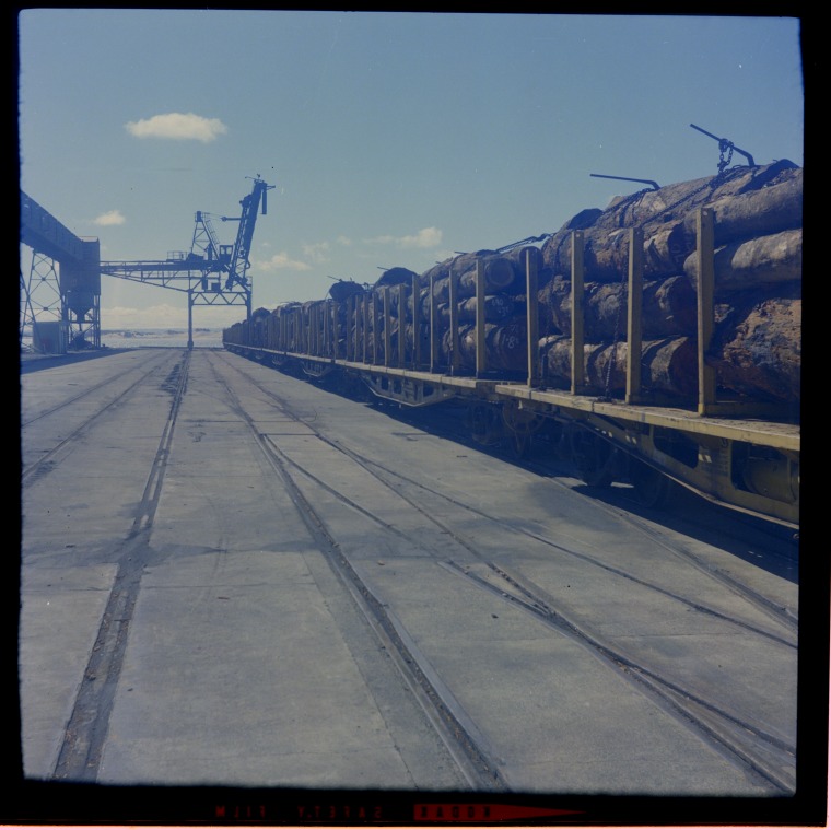 Loading logs onto the Gjertrud Bakke at Bunbury for export to Japan, 1