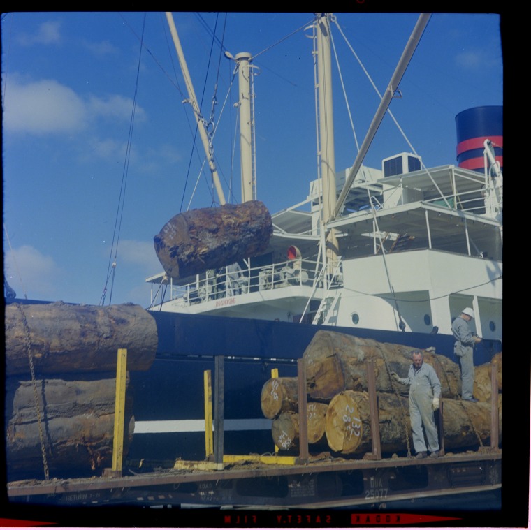 Loading logs onto the Gjertrud Bakke at Bunbury for export to Japan, 1