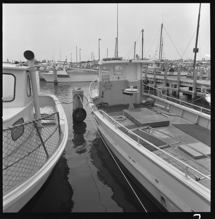 Fishing boats in Fishing Boat Harbour, Fremantle, 4 November 1975