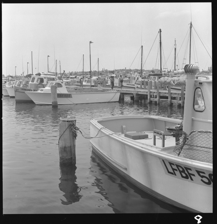 Fishing boats in Fishing Boat Harbour, Fremantle, 4 November 1975 JPG
