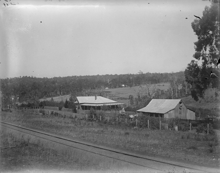 Homestead And Farm Of A. Doust, Bridgetown (on The Bunbury Rd). - Jpg 