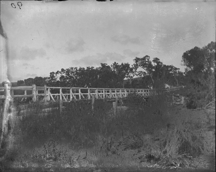 Bridge over Torbay Inlet near Grassmere. - JPG 126.1 KB