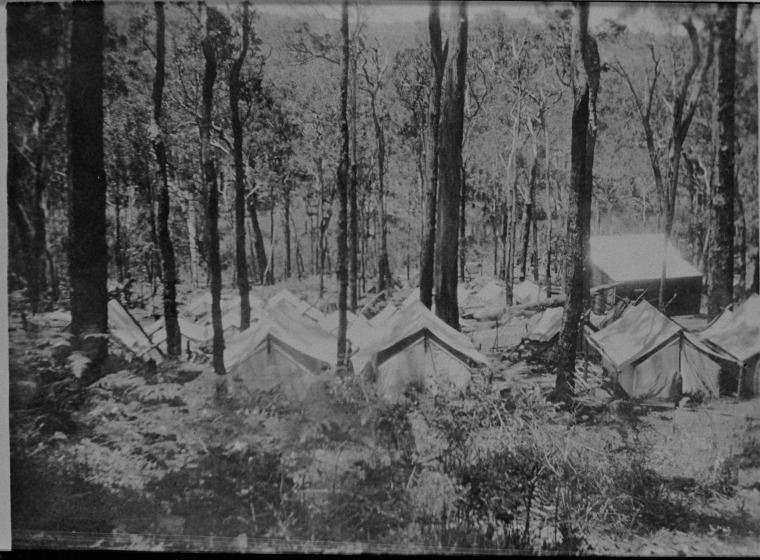 Wellington Dam campsite. State Library of Western Australia