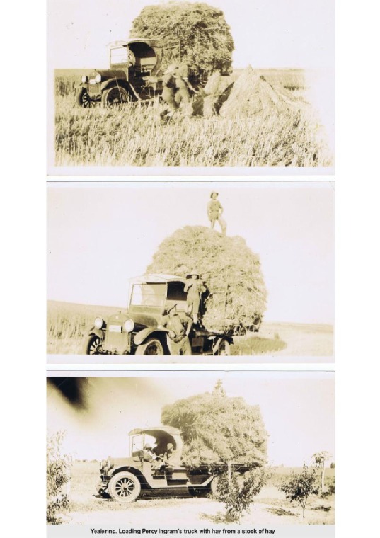 YF1: Loading Percy Ingram's truck with hay from a stock of hay