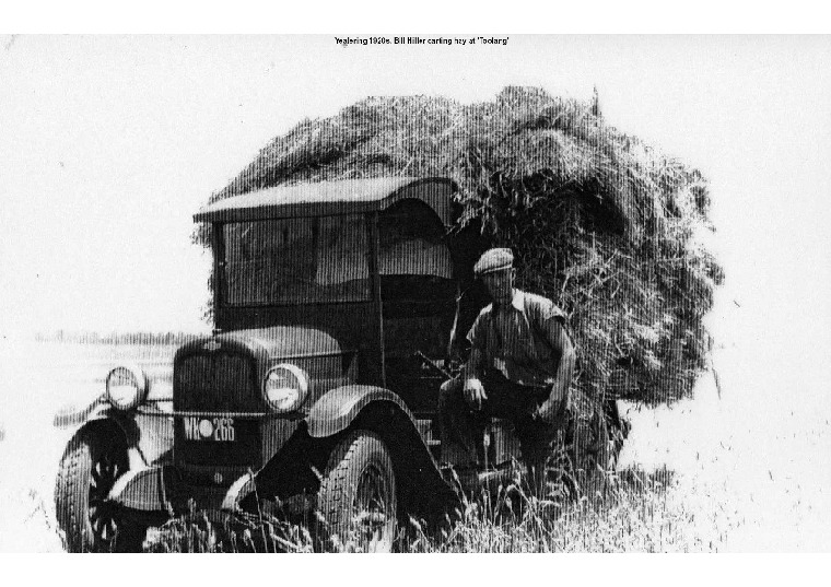 YF10: Bill Hiller carting hay at 'Toolang'