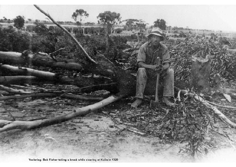 YF12: Bob Fisher taking a break while clearing at Kulin in 1929