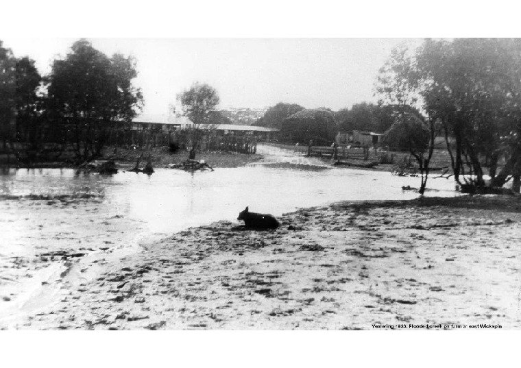 YF20: Flooded creek on farm at east Wickepin, 1930