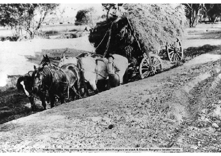 YF29: Hay carting at 'Windstorm' with John Hodgson & Claude Burgoyne