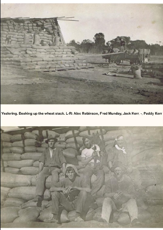 YF5: Beaking up the wheat stack. L-R: Alec Robinson, Fred Munday, Jack Kerr, -, Paddy Kerr